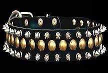 rottweiler collar