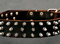 rottweiler collar