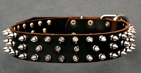 rottweiler collar