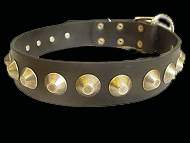 Rottweiler collar