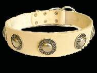 Rottweiler dog collars