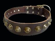Rottweiler dog collar
