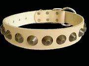 Rottweiler leather dog collar