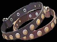 rottweiler collar