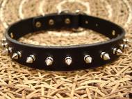 Rottweiler Lather spiked dog collar 