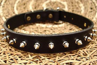Spiked Leather best Dog Collar 