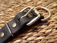 Spiked Rottweiler collar