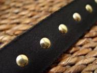 Spiked Rottweiler collar