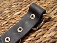 Spiked Rottweiler collar