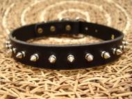 Spiked Rottweiler collar