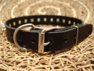 Spiked Rottweiler collar