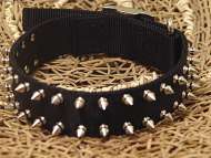 rottweiler collar