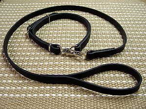 Police dog leash and collar (combo) for Rottweiler