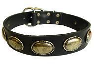 dog collar for rottweiler