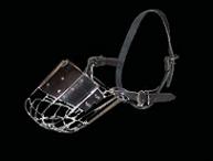 Rottweiler muzzle